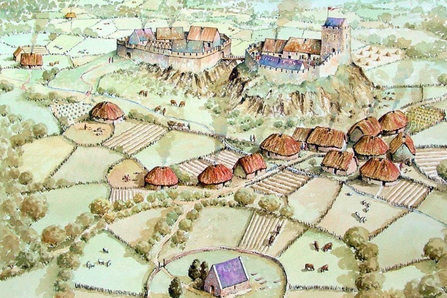 Що таке царина