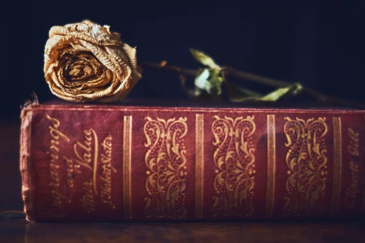 Що таке анотація до книги